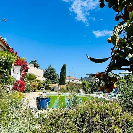 Maison De Vacances Avec Piscine Tatil Evi Six-Fours-les-Plages